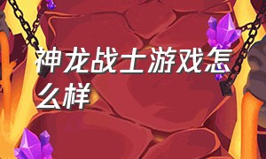 神龙战士游戏怎么样