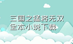 三国之猛将无双全本小说下载