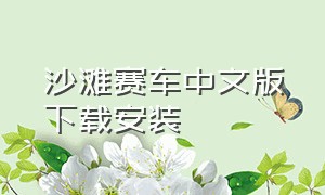 沙滩赛车中文版下载安装