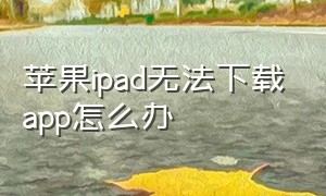 苹果ipad无法下载app怎么办
