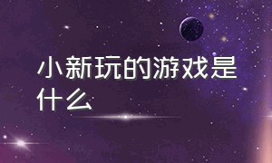 小新玩的游戏是什么