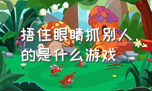 捂住眼睛抓别人的是什么游戏