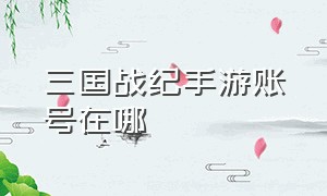 三国战纪手游账号在哪（三国战纪2手游）