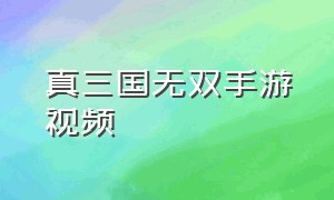 真三国无双手游视频（真三国无双手游视频解说）