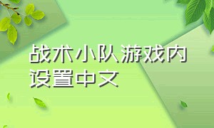 战术小队游戏内设置中文