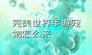 完美世界手游宠物怎么来