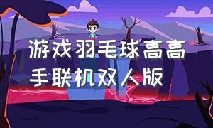 游戏羽毛球高高手联机双人版