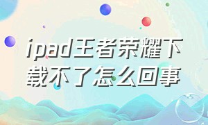 ipad王者荣耀下载不了怎么回事