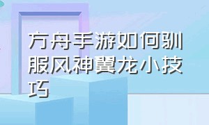 方舟手游如何驯服风神翼龙小技巧