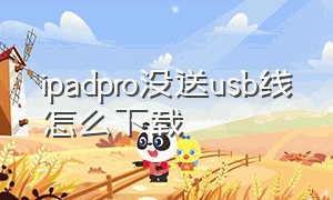 ipadpro没送usb线怎么下载（ipad pro原装数据线怎么验证）