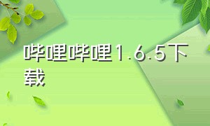 哔哩哔哩1.6.5下载