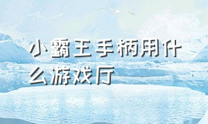 小霸王手柄用什么游戏厅