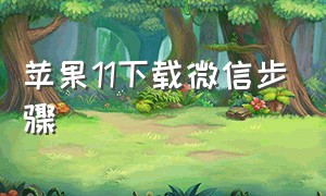 苹果11下载微信步骤