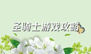 圣骑士游戏攻略