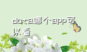 dota哪个app可以看