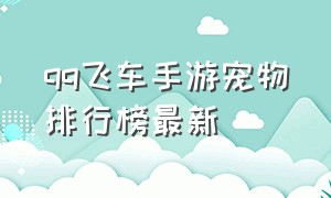 QQ飞车手游宠物排行榜最新