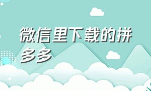 微信里下载的拼多多（下载拼多多微信应用在哪）