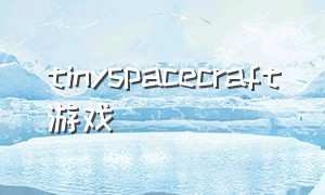 tinyspacecraft游戏