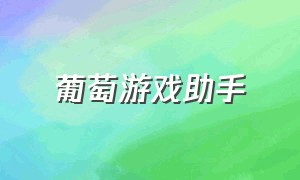 葡萄游戏助手