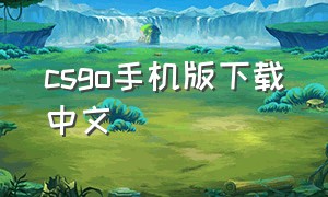 csgo手机版下载中文