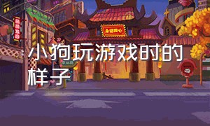 小狗玩游戏时的样子（小狗最喜欢主人陪它玩什么游戏）