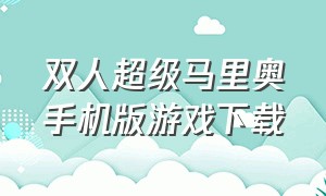 双人超级马里奥手机版游戏下载