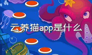 云养猫app是什么