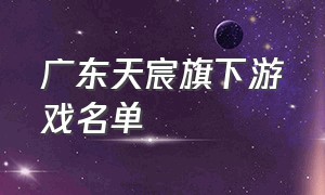 广东天宸旗下游戏名单