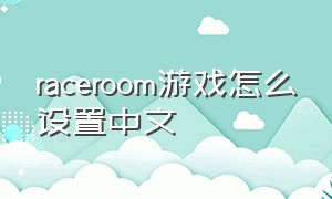 raceroom游戏怎么设置中文
