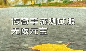 传奇手游测试服无限元宝