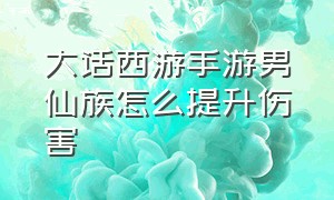 大话西游手游男仙族怎么提升伤害