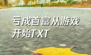 亏成首富从游戏开始txt