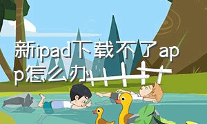 新ipad下载不了app怎么办