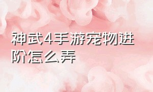 神武4手游宠物进阶怎么弄