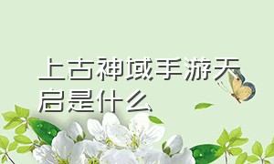 上古神域手游天启是什么（上古神域手游搬砖攻略）