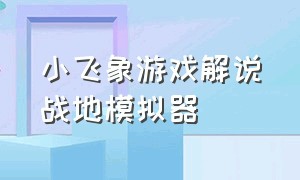 小飞象游戏解说战地模拟器