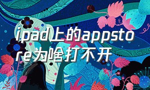 ipad上的appstore为啥打不开