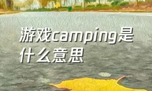 游戏camping是什么意思（camper游戏里什么意思）