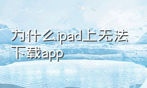 为什么ipad上无法下载app