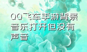 QQ飞车手游背景音乐打开但没有声音