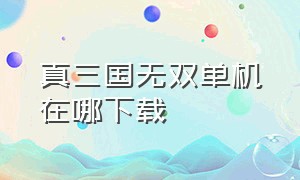 真三国无双单机在哪下载（真三国无双怎么下载电脑版）