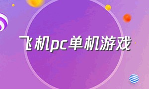 飞机pc单机游戏（战机单机pc游戏）