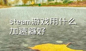 steam游戏用什么加速器好