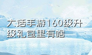 大话手游160级升级礼包里有啥