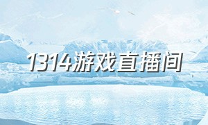 1314游戏直播间