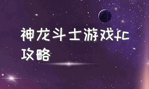 神龙斗士游戏fc攻略（fc圣斗士经典游戏）