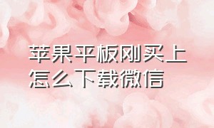 苹果平板刚买上怎么下载微信