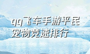 QQ飞车手游平民宠物竞速排行