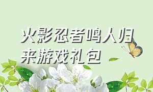 火影忍者鸣人归来游戏礼包