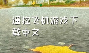 遥控飞机游戏下载中文（遥控飞机视频游戏）